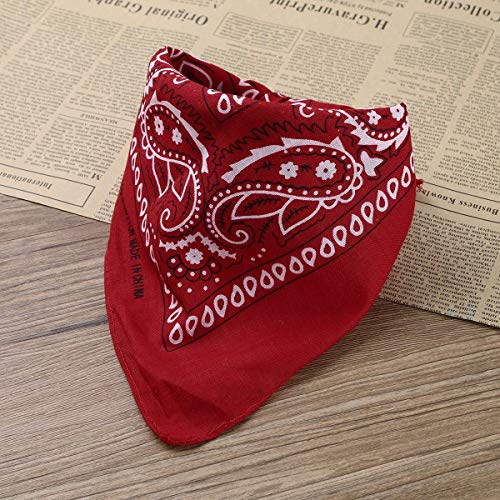 Carnavalife Sombrero Cowboy de Vaquero con Pañuelo Bandanas Paisley de Algodón Toy Story Western Disfraz para Adulto y Niños (Marrón, Niños/54cm)