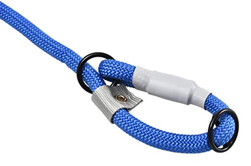 Cesar Millan Nylon Training Lead™ Correa de entrenamiento para perros – Collar y correa de perro 2 en 1 (Grande/Extra Grande, Azul)