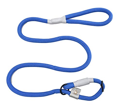 Cesar Millan Nylon Training Lead™ Correa de entrenamiento para perros – Collar y correa de perro 2 en 1 (Grande/Extra Grande, Azul)