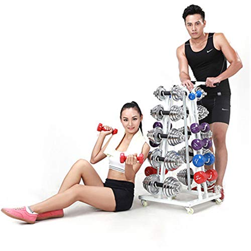 ChengBeautiful Soporte para Mancuernas Multi-Capa Manual Torre de Levantamiento de Pesas Gimnasio Hexagonal Dumbbell Rack Home Fitness Sports Dumbbell Rack (Color : White, Size : 96x50x50cm)