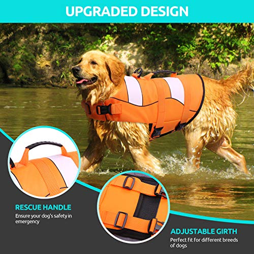 CITÉTOILE Chaleco Salvavidas para Perros Ajustable, Estilo Deportivo con Asa, Chalecos de flotación para Perros para la Seguridad del Perro Mientras Nadan o en Remo/Canoa/Kayaks, M