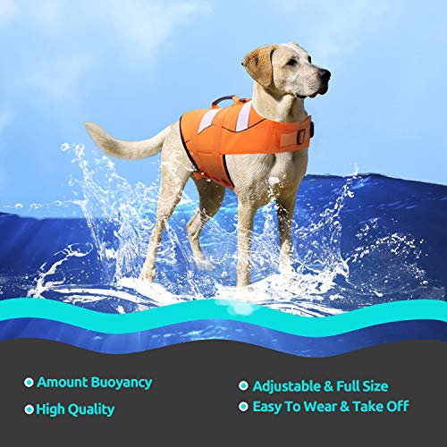 CITÉTOILE Chaleco Salvavidas para Perros Ajustable, Estilo Deportivo con Asa, Chalecos de flotación para Perros para la Seguridad del Perro Mientras Nadan o en Remo/Canoa/Kayaks, M