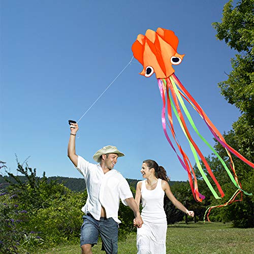 Cometa Infantil, Hillylolly Juguete Cometa, Cometas Fáciles de Volar, Cometa Adulto Grande Playa, Cometa Acrobatica Niños, con 8 Colas Coloridas, Actividades al Aire Libre