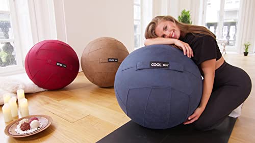 COOLDOT Bola de Yoga para Adultos Pelota Asiento Silla con Cubierta Funda y Asa Incluye Pelota de Ejercicio Bombín Inflador para Casa Oficina Pilates con Tratamiento Antibacteriano (Azul, D65)