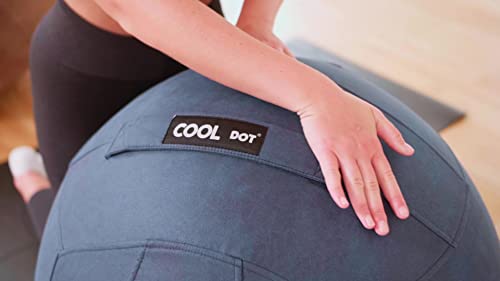 COOLDOT Bola de Yoga para Adultos Pelota Asiento Silla con Cubierta Funda y Asa Incluye Pelota de Ejercicio Bombín Inflador para Casa Oficina Pilates con Tratamiento Antibacteriano (Azul, D65)