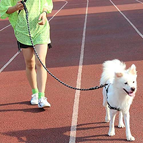 Correa para perros de 1,5 m robusta correa para perros con cómodo agarre acolchado. Apto para perros de talla pequeña mediana y grande 01 (negro)