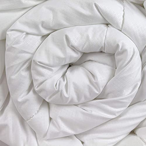 COTTON REUS Relleno nórdico Cama 90 cm (150 x 200 cm) Eco Confort 300 Gramos/m2