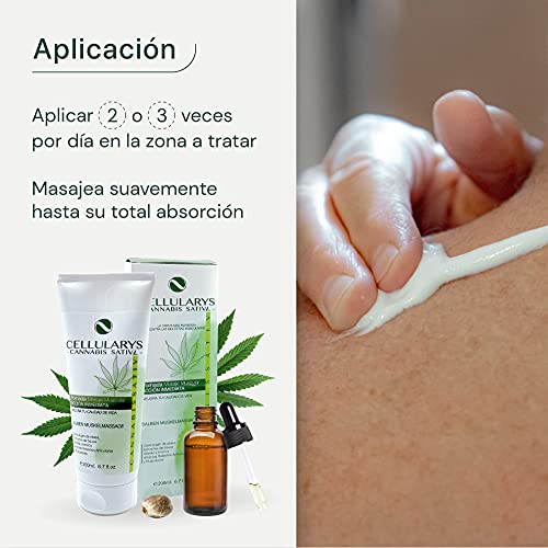 Crema muscular de Cannabis con aceite de semilla cañamo ecológico para tendinitis y dolores musculares / Espalda Cuello Rodillas Articulaciones / antiinflamatoria / Calmante dolor 200 ml