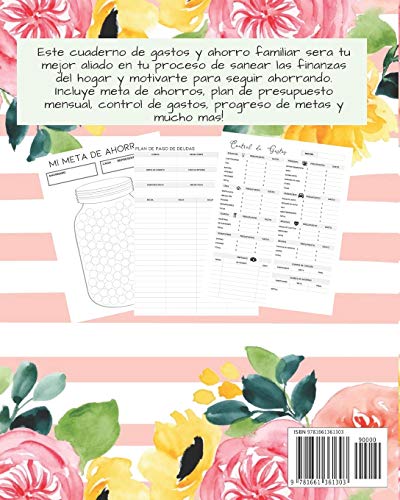 Cuaderno de Gastos y Ahorro Familiar: Planificador contable de finanzas personales Budget Planner Libro de Cuentas para el Ahorro Domestico Tema flores rayas 20 x 25 cm