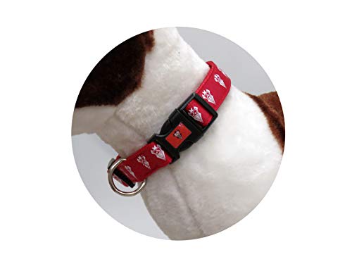 CYP BRANDS - Albacete Balompié - Collar para Perro - Talla L