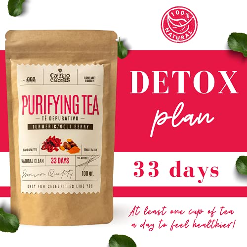 DETOX | Té Depurativo | Vientre Plano | Infusión drenante con efecto diuretico | Te Verde, Cola de Caballo, Diente de León, Curcuma, Jengibre, Bayas de Goji, Piña | Antioxidante Natural 100g