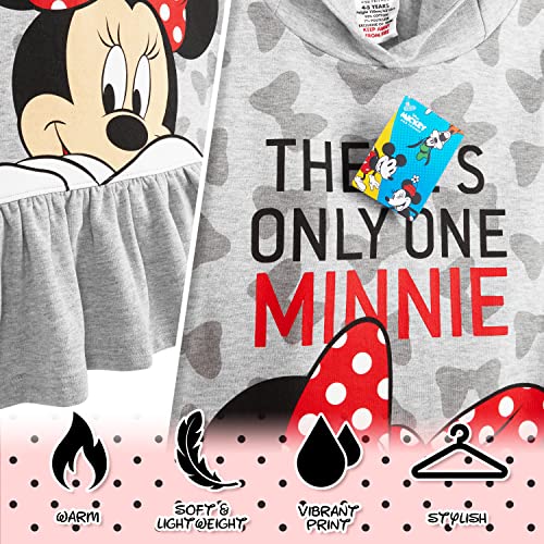 Disney Vestido Niña, Sudadera Niña de Mickey y Minnie Mouse, Ropa Niña 2-14 Años, Regalos para Niñas (3-4 Años, Gris Jaspeado)