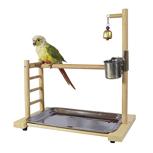 DJDEFK Juguetes para Pájaro Birdcage Stands Parrot Play Gym Madera Conure Playground Pájaro Jaula Soportes Soportes Accesorios Birdhouse Decor Tab Top Top