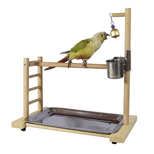 DJDEFK Juguetes para Pájaro Birdcage Stands Parrot Play Gym Madera Conure Playground Pájaro Jaula Soportes Soportes Accesorios Birdhouse Decor Tab Top Top