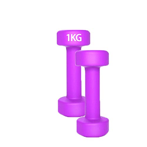 Dumbbells Mancuerna de Mano Peso Barra 1-5kg Pesada Pesas de Gimnasia de Maquinaria en la Aptitud del Ejercicio Brazo Delgado Body Sculpting mancuerna (un par),2KG(1KG*2)