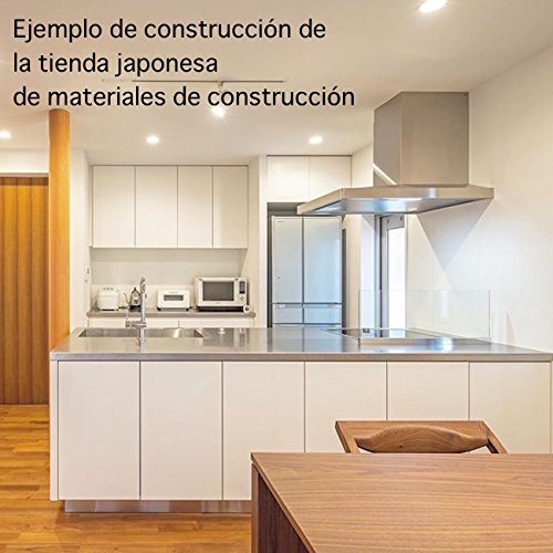 Ejemplo de construcción de la tienda japonesa de materiales de construcción