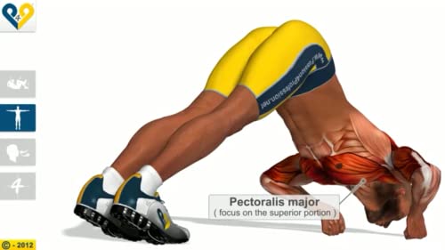 Entrenamiento para pectorales