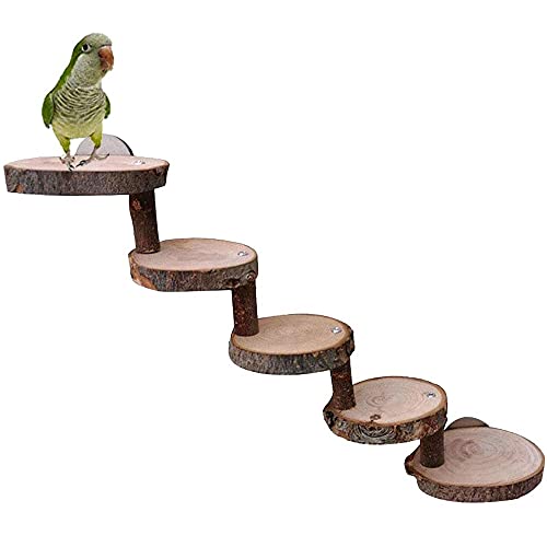 Escaleras de Madera para Animales Pequeños, Escalera de Madera de Hámster, Plataforma de Hámster de Madera, Adecuado para Hámsters, Ratones, Jerbos, Ratas, Ardillas, Conejillos de Indias, Loros