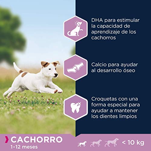 Eukanuba Alimento seco para cachorros de raza pequeña, rico en pollo fresco 3 kg