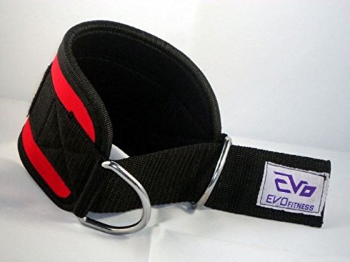 EVO Polea Cable Accesorio Neopreno Tobillera Gym Correa Levantamiento de Pesas Anilla En D Fitness Culturismo