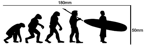 EVOLUTION SURF MAN Pegatina divertida para coche, furgoneta, bicicleta, caravana, parachoques de vinilo