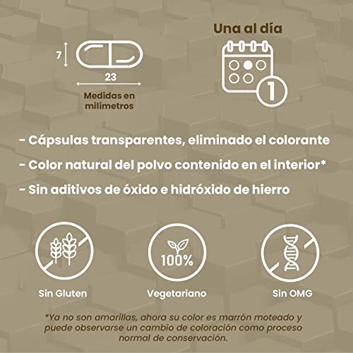 Evovits de HSN | Multivitaminas y Minerales | Complejo Multivitamínico para 4 Meses = 1 Cápsula al Día | Polivitamínico para Mujer, Hombre, Vegetarianos y Deportistas | No-GMO, Sin Gluten ni Lactosa