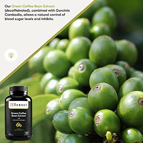 Extracto de Café Verde Natural con Garcinia Cambogia pura, 120 cápsulas | Para perder peso, quemar grasas y disminuir el apetito | No GMO, 100% Natural | de Zenement