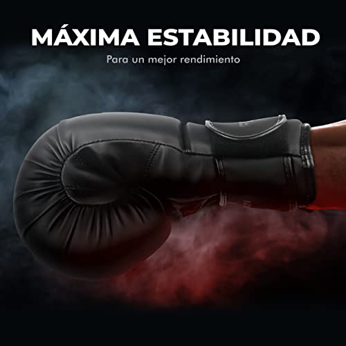 FIGHTR Guantes de Boxeo, Ideales para Estabilidad y Fuerza de Impacto, Guantes para Boxeo, MMA, Muay Thai, Kickboxing y Artes Marciales, Incluye Bolsa de Transporte (All Black, 12 oz)