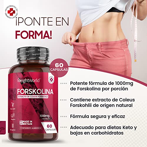 Forskolina Pura Dosis Alta 1000 mg 60 Cápsulas Veganas - Suplemento Dietético Keto Actives de Extracto de Coleus Forskohlii, Cápsulas Dietéticas para Hombres y Mujeres, Sin Gluten