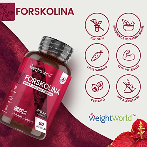 Forskolina Pura Dosis Alta 1000 mg 60 Cápsulas Veganas - Suplemento Dietético Keto Actives de Extracto de Coleus Forskohlii, Cápsulas Dietéticas para Hombres y Mujeres, Sin Gluten