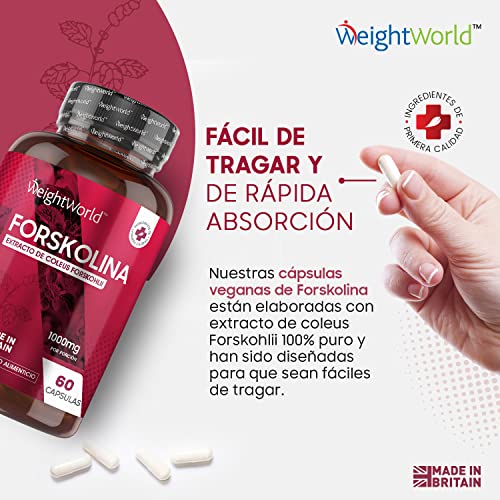 Forskolina Pura Dosis Alta 1000 mg 60 Cápsulas Veganas - Suplemento Dietético Keto Actives de Extracto de Coleus Forskohlii, Cápsulas Dietéticas para Hombres y Mujeres, Sin Gluten