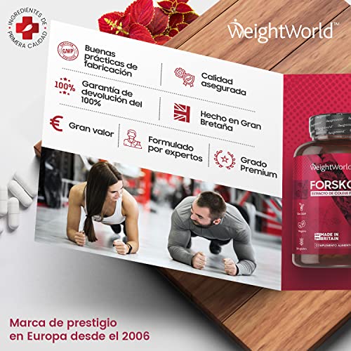 Forskolina Pura Dosis Alta 1000 mg 60 Cápsulas Veganas - Suplemento Dietético Keto Actives de Extracto de Coleus Forskohlii, Cápsulas Dietéticas para Hombres y Mujeres, Sin Gluten