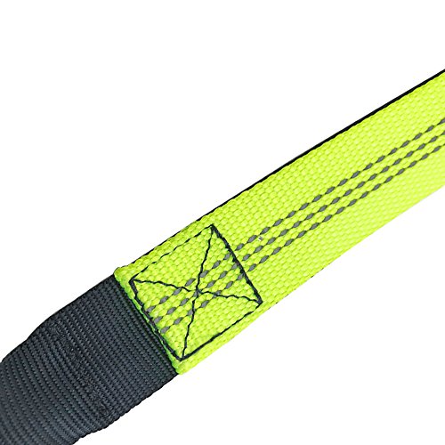 FULARR Correa Manos Libres para Perro, Reflectante Elástica Correa para Perro, Extensible con Cintura Ajustable, Ideal para Correr, Bicicleta, Deporte, Running, Longitud 1.2 a 1.9m (Gris y Verde)