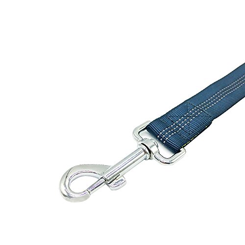 FULARR Correa Manos Libres para Perro, Reflectante Elástica Correa para Perro, Extensible con Cintura Ajustable, Ideal para Correr, Bicicleta, Deporte, Running, Longitud 1.2 a 1.9m (Gris y Verde)