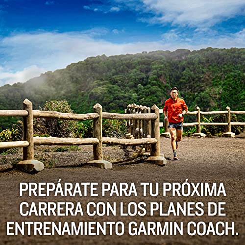 Garmin Forerunner 245 - Reloj multisport con GPS - Burdeos