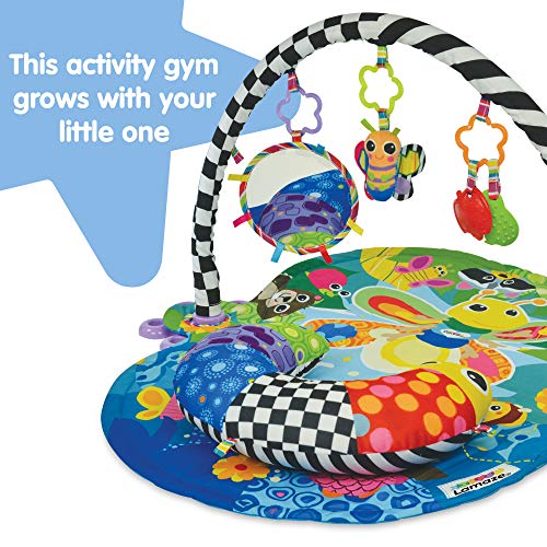 GIMNASIO DE ACTIVIDADES FREDDIE LAMAZE