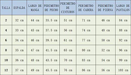 Gojoy shop- Traje Corto Flamenco Disfraz Cordobés para Niños para Ferias, Romerías y Cruces de Mayo, Contiene Sombrero, Chaqueta, Chaleco, Camisa, Pantalón y Faja. 6 Tallas Diferentes. (8)