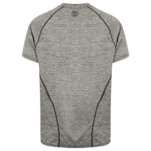 Gold's Gym Camiseta de Manga Corta para Hombre con Mangas raglán Marl, Hombre, GGTS060, Gris Claro, L