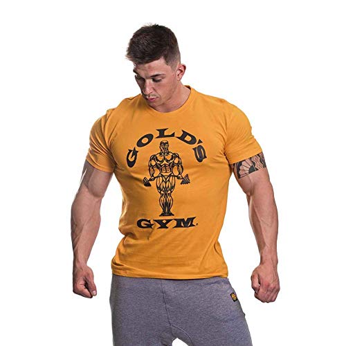 Gold's Gym Muscle Joe - Camiseta de Entrenamiento para Hombre, para Entrenamiento, Fitness, Gimnasio, Deportes