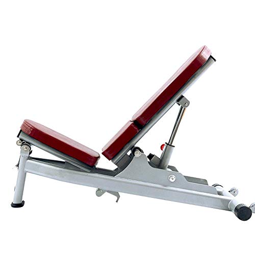 HaoLi Bancos de Pesas Gimnasio Comercial Banco con Mancuernas Ajustable, Banco de Press de banca, Silla con Mancuernas Estudio de Entrenamiento Personal Silla de Fitness Fuerza