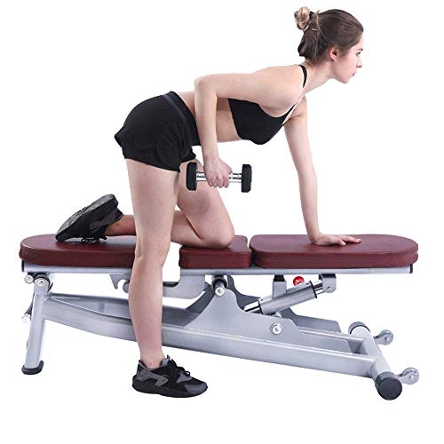 HaoLi Bancos de Pesas Gimnasio Comercial Banco con Mancuernas Ajustable, Banco de Press de banca, Silla con Mancuernas Estudio de Entrenamiento Personal Silla de Fitness Fuerza