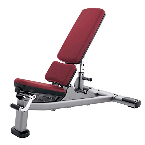 HaoLi Bancos de Pesas Gimnasio Comercial Banco con Mancuernas Ajustable, Banco de Press de banca, Silla con Mancuernas Estudio de Entrenamiento Personal Silla de Fitness Fuerza