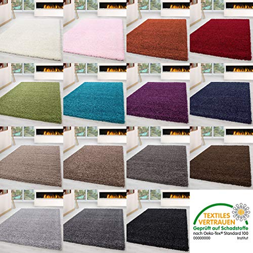 HomebyHome Shaggy Alfombra Pelo Largo pequeño Extra Grande Grueso Suave salón Unicolor, Color:Beige, tamaño:200x290 cm