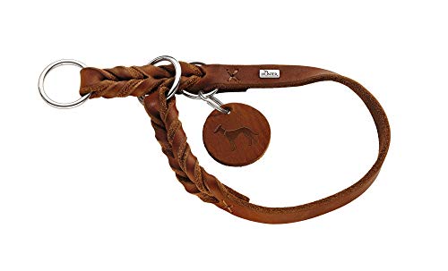 HUNTER Collar de Entrenamiento Solid Education, 50 Piel de Vaca Genuina Suave, coñac