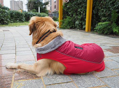 Idepet Chaqueta de Abrigo de Perro, Abrigo de Mascotas a Prueba de Agua, Traje de ensayo, Ropa de Perro a Prueba de Viento reflexiva para pequeños Perros Grandes Grandes Rojo Negro