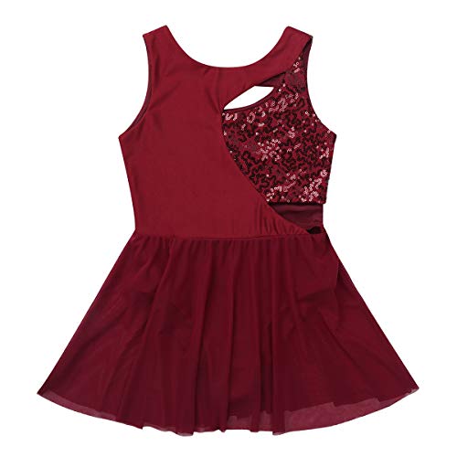 IEFIEL Maillot Patinaje Artistico para Niña Tutu Princesa Vestido Lentejuelas de Danza Ballet Disfraz de Bailarina Maillot Ballet con Falda 4-12 Años Rojo Vino 10 años