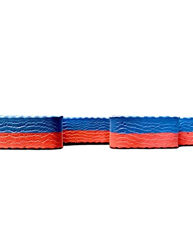 Jardin202 - Lote x10 losetas Tatami Puzzle - Rojo/Azul | Esterilla Reversible Antideslizante | Suelo para gimnasios, Artes Marciales, Judo | Espesor: 20mm