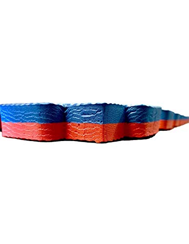 Jardin202 - Lote x10 losetas Tatami Puzzle - Rojo/Azul | Esterilla Reversible Antideslizante | Suelo para gimnasios, Artes Marciales, Judo | Espesor: 20mm