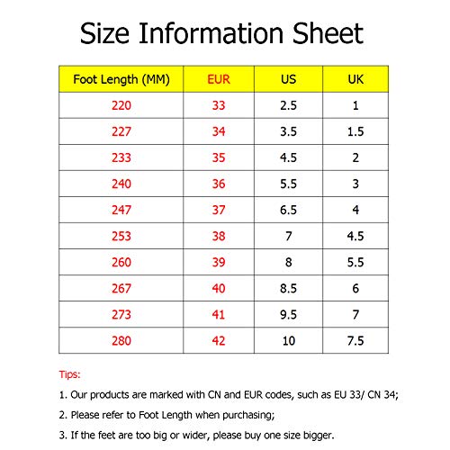 JTKDL Zapatillas con Ruedas, LED Deformación 4 Rueda Patines En Paralelo Zapatos Multiusos 2 En 1 Skate Ligeros Calzado para Niñas Y Niños para Niños Adolescentes Y Adultos,Sliver-EU39/UK5.5