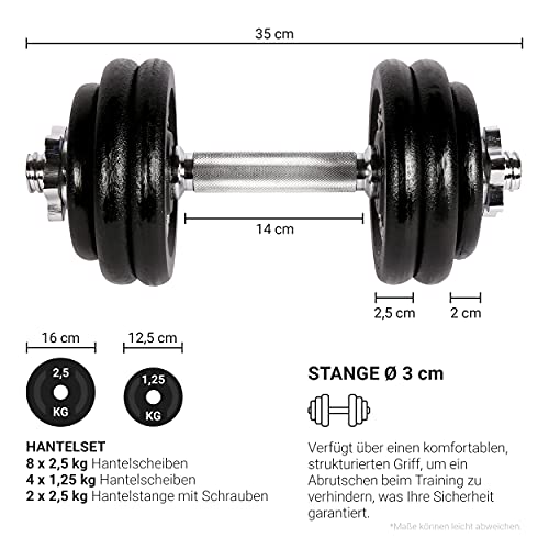 Juego de mancuernas Profesional de hierro fundido Mancuerna de 30 kg (2 x 15 kg)